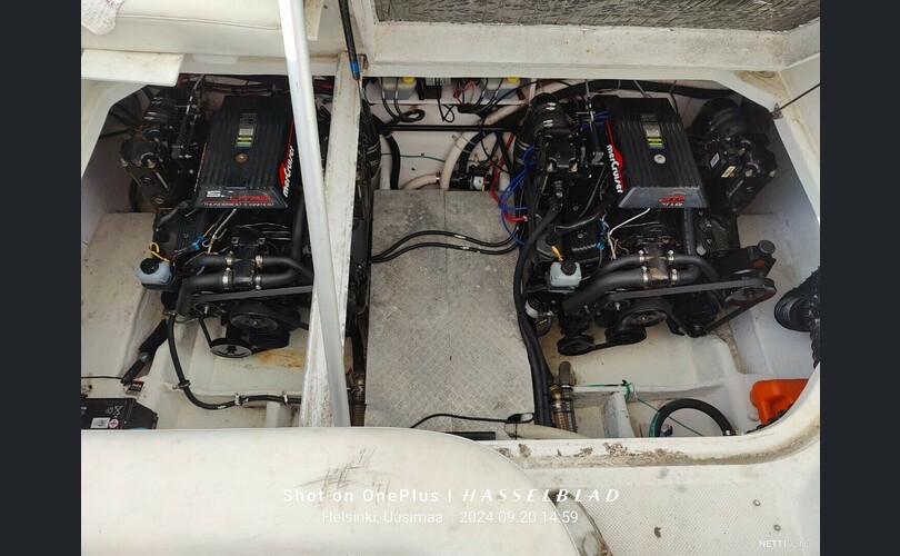 Bayliner 3055 Ciera-kuva-2